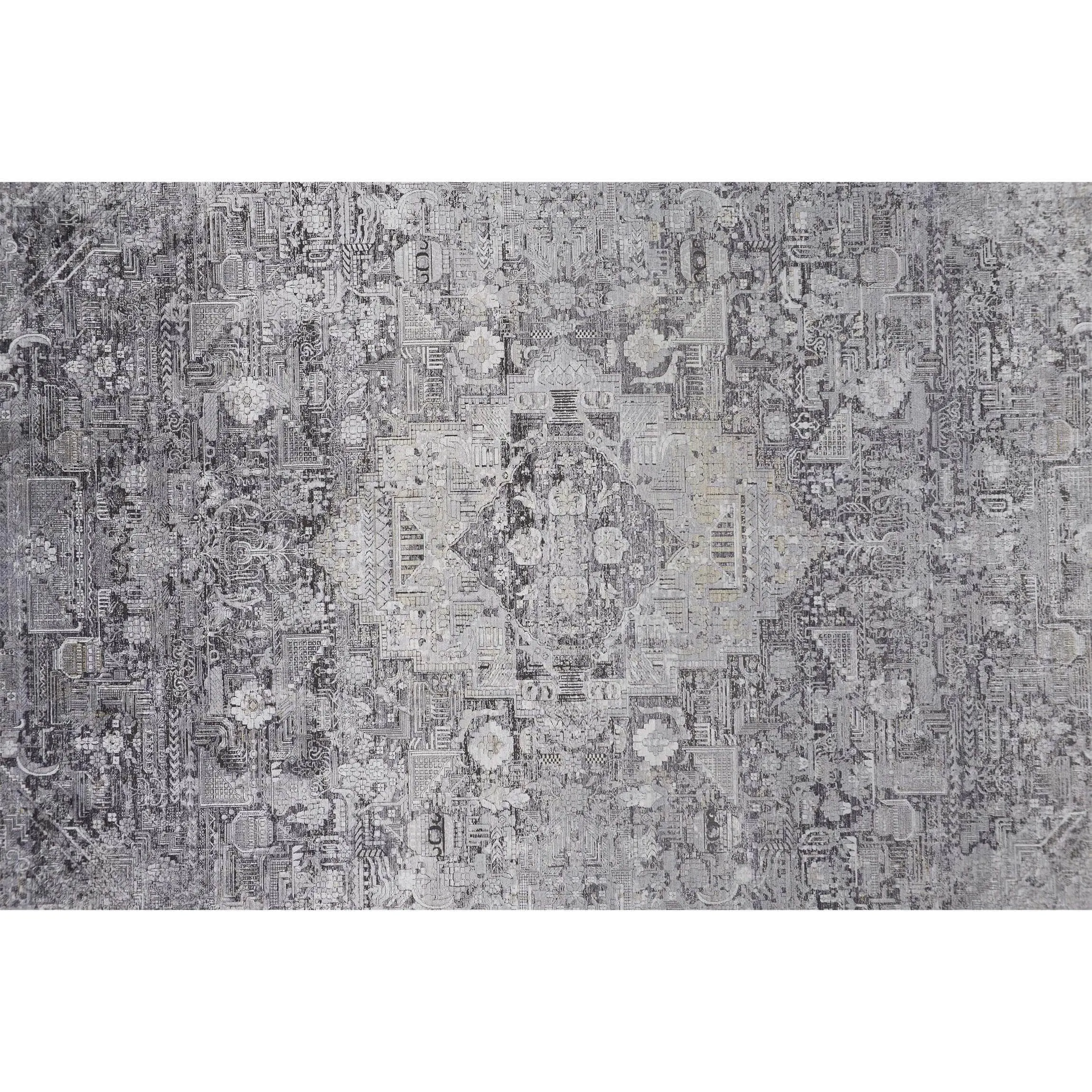 Feizy Rug Sarrant 3966F, Gray