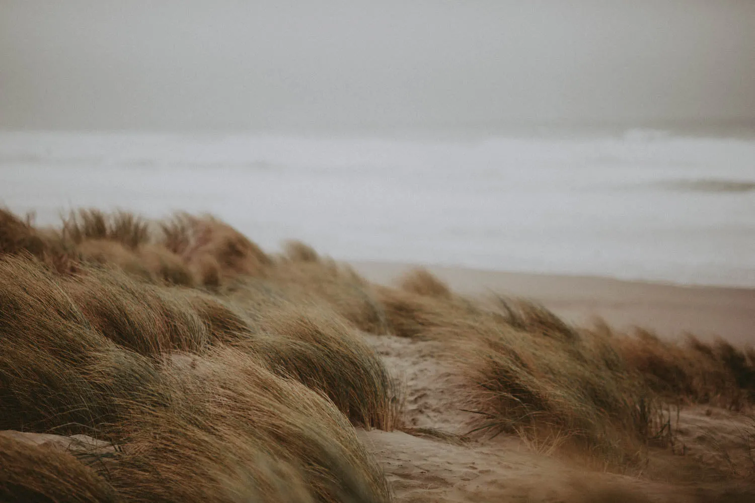 Ocean Beach Photographic Print
