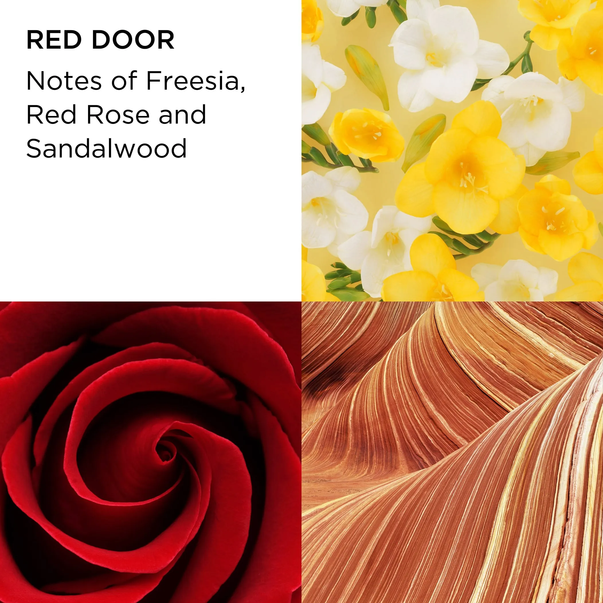 Red Door Eau de Toilette 3.3oz 3-Piece Set
